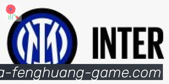 凤凰体育合作伙伴